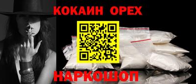 шишки Кингисепп