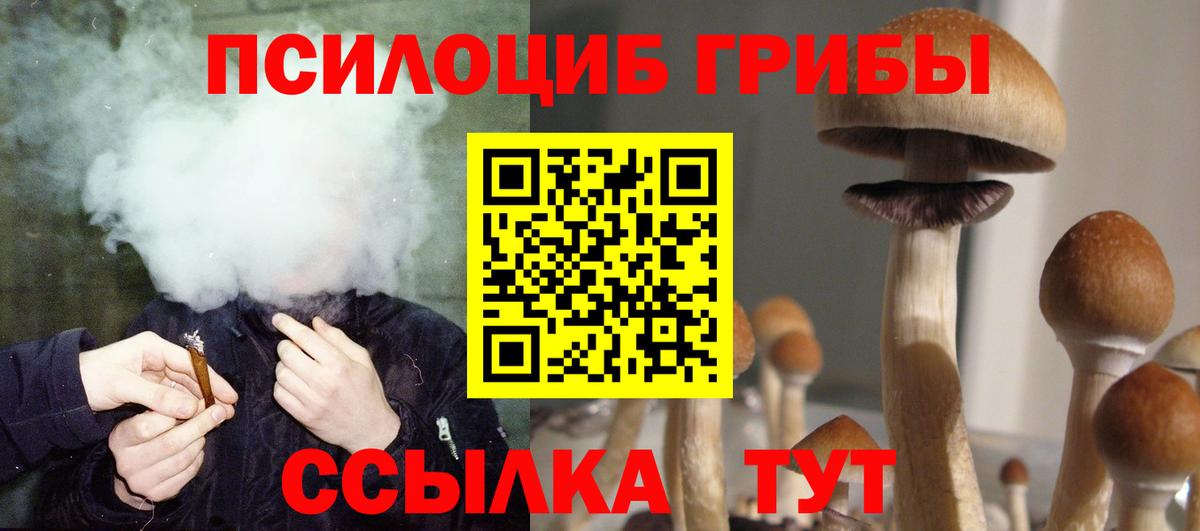 Сосновый Бор  Галлюциногенные грибы Cubensis  Вход с VPN 